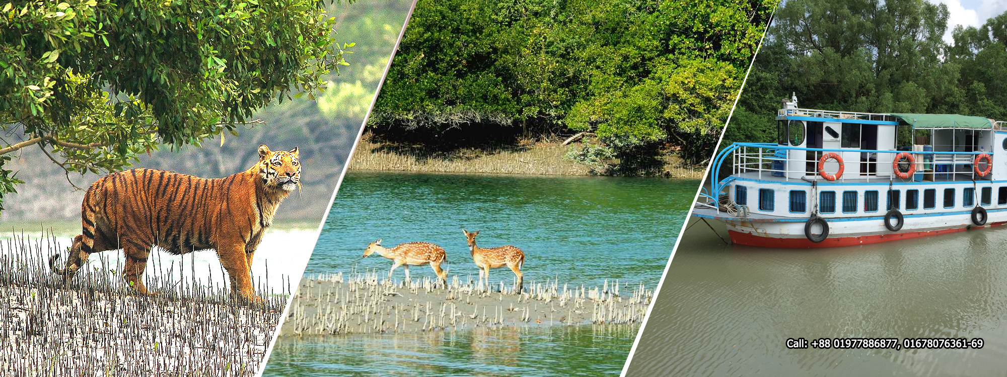 one day sundarban tour from khulna
